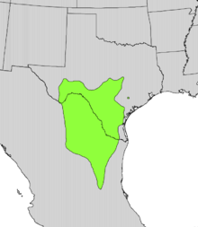 Eysenhardtia texana range map.png