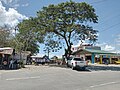 Godofredo Reyes Sr. (GRS) Barangay Proper