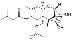 Strukturformel des HT-2-Toxin