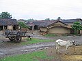 १०:५६, १९ आगस्ट् २००६ समये विद्यमानायाः आवृत्तेः अंगुष्ठनखाकारः