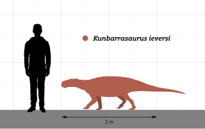 Kunbarrasaurus