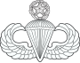 Master Parachutist Badge