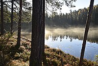 Inner-Abborrtjärnen i morgondis, samma morgon.