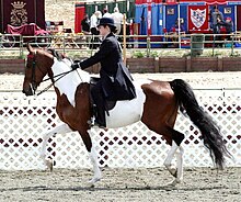 Un cheval tacheté de brun et de blanc monté par une femme en costume sombre lors d'un concours.