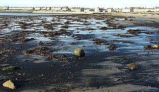 Déchets de charbon, baie de Newbiggin (Royaume-Uni).