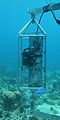 NOAA (AOML) in situ CO2 сензор за концентрација (SAMI-CO2), прикачен на станица на системот за рано предупредување на коралниот гребен, користен при спроведување на проучувања за закиселување на океаните во близина на областите на коралните гребени