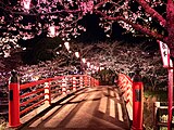 小見川城山公園（夜桜）