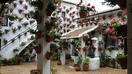 Festival de los Patios in Córdoba