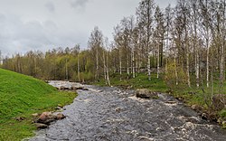 Petrozavodsk 06-2017 img01 Lososinka River.jpg