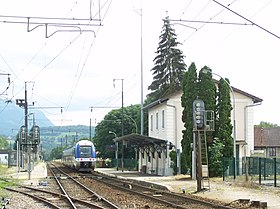 Stacidomo Albens