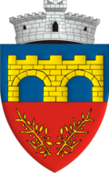 Wappen von Chichiș