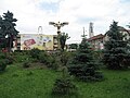 Piața 22 Decembrie și Statuia „Bucovina înaripată” (pe vechiul amplasament)