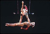 A fixed doubles trapeze act