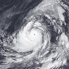 Taifun Tip zum Zeitpunkt seiner größten Intensität am 12. Oktober 1979