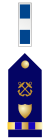 US CG CW3 insignia.svg