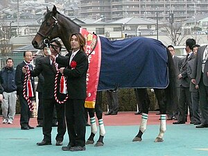 2009年日经电台杯两岁马锦标冠军“比萨胜驹”