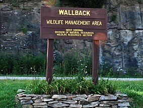 Wallback WMA.jpg