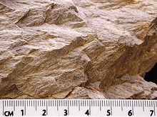 Wells Creek crater in Tennessee, United States: a close-up of shatter cones developed in fine grained dolomite Wells creek shatter cones 2.JPG