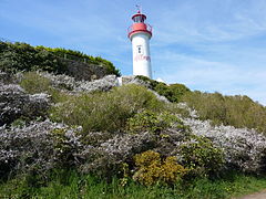Le phare de Port-Manec'h
