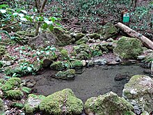 名水百選「安徳水」湧水地（高知県越知町）