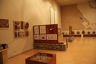 Exposición de objetos neolíticos en el museo.
