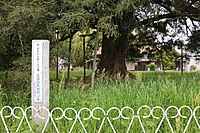 新・浜松の自然100選のひとつに選定されている。