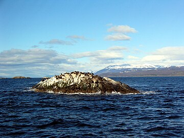 La Isla de Los Lobos