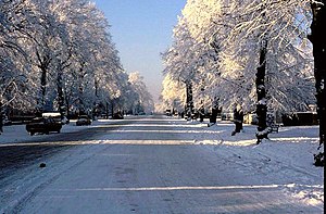 English: Binswood Avenue in the sun and snow. ...