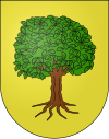 Blason