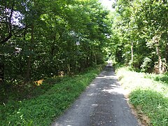 Saint Just-sur-Loire, chemin des canaux secs, le long du Furens (avant le pont ancien).