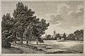City of Oxford: a glimpse of the city from the meadows. Etching by J. Roffe.