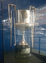 Miniatura para Copa del Rey de fútbol 1994-95