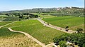 Vue générale du site de l'oppidum de Constantine (massif calcaire) dominant la plaine de l'étang de Berre et une partie du Domaine de Calissanne (2020) ;