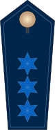 Insignia of a Polizeiobermeister