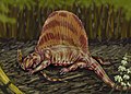 Dimetrodon