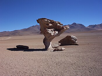 Kameno drvo, oblik reljefa nastao radom vetra, u pustinji Siloli u jugozapadnoj Boliviji.