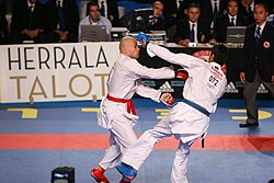 Karate WC Tampere 2006-2.jpg