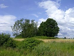 Kleinballupönenfriedhof.jpg