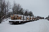 Freight cars, Vodogon Station