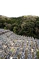 A Japanese graveyard