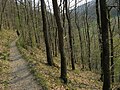 Lieserpfad hiking trail in the Eifel