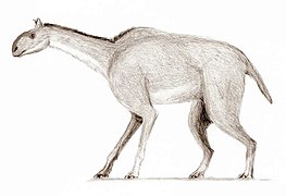 Reconstrucción de macrauchenia patachonica