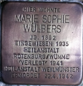 Marie Sophie Wülbers