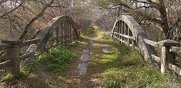 McEwen Bridge