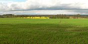 Blick auf Ackerflächen am Standort der Wüstung