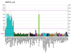 PBB GE CREB1 204313 s at fs.png