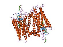 PDB 1f88 EBI.jpg