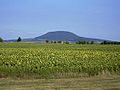 Říp Mountain, a legendary place where the first Slavs, led by Forefather Čech, settled