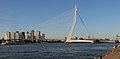 Rotterdam, le pont Erasmusbrug depuis l'Holland-Amerikakade