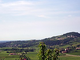 Lavagno